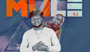 Jhargo - Mule (Remix) ft. Seriki